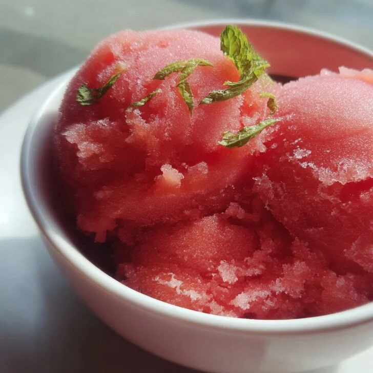Easy Watermelon Sorbet